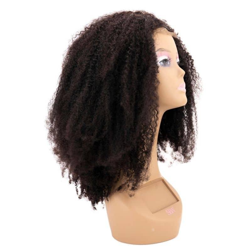 Afro Kinky Transparent Closure Wig - Protective Style Studio