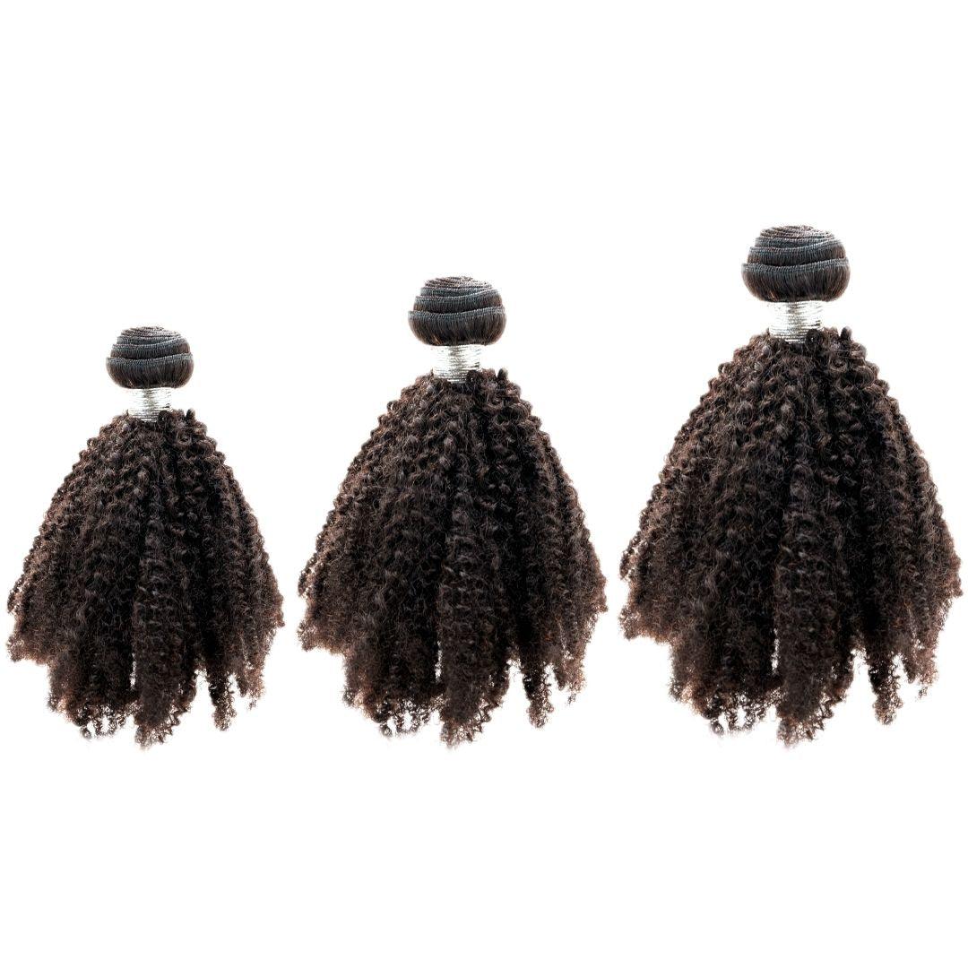 Brazilian Afro Kinky Bundle Deals - Protective Style Studio
