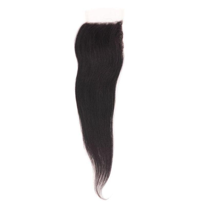 Brazilian Silky Straight 4x4 HD Closure - Protective Style Studio